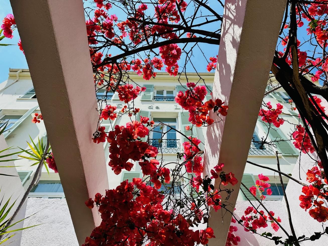 Londres Menton - Actualités